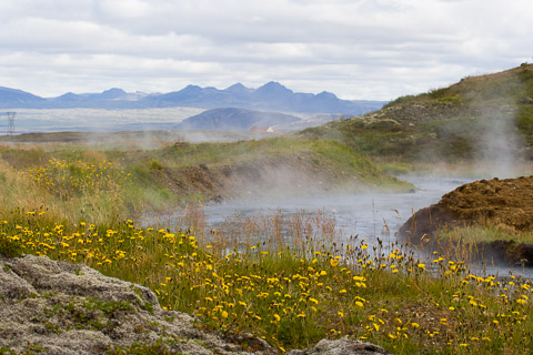 Iceland