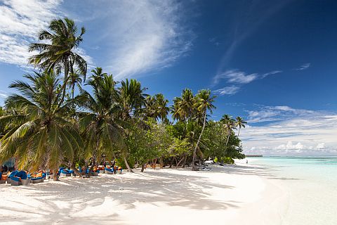 Maldives